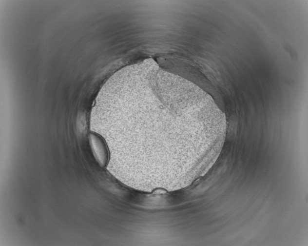 X0000112920335200909211058