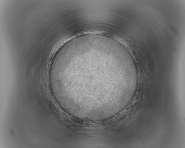 X0000112920337200909211057
