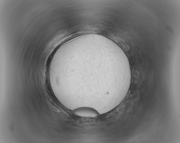 X0000112920338200909211057