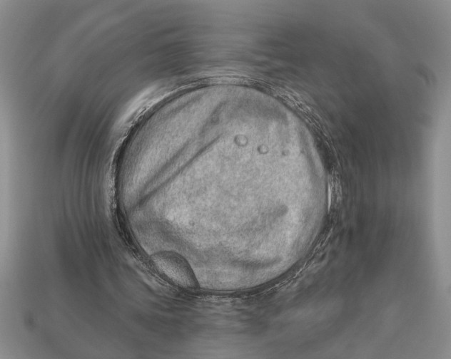 X0000112920339200909211057