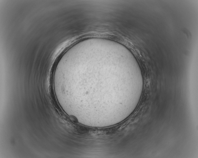 X0000112920340200909211057