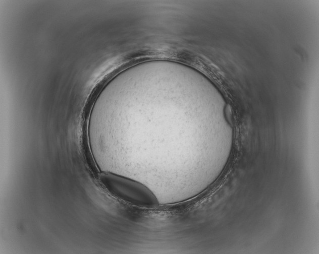 X0000112920344200909211057