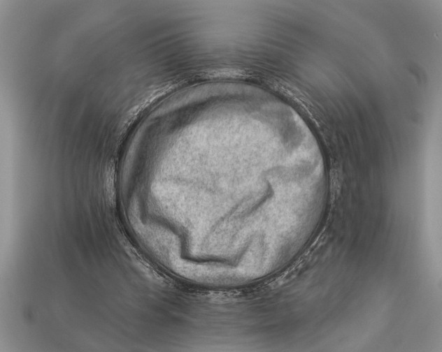 X0000112920345200909211057