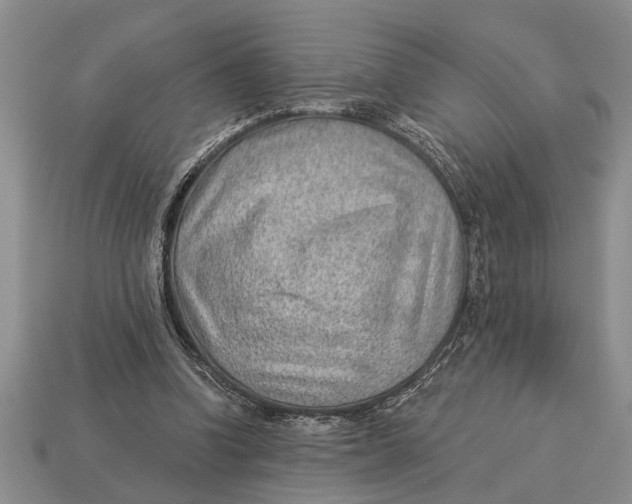 X0000112920346200909211057
