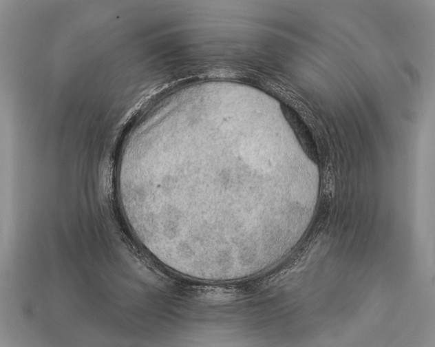 X0000112920347200909211057