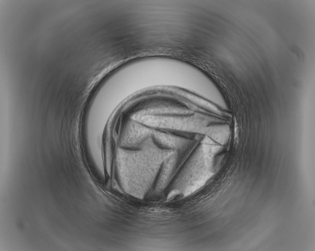 X0000112920348200909211057