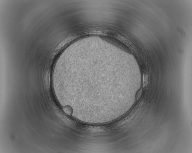 X0000112920349200909211057
