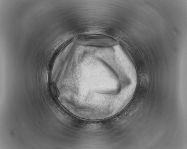 X0000112920350200909211057