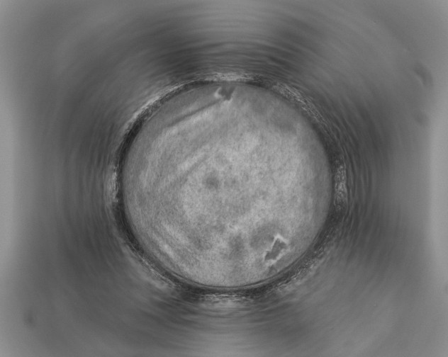X0000112920351200909211057