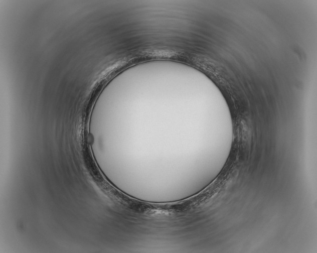X0000112920352200909211057