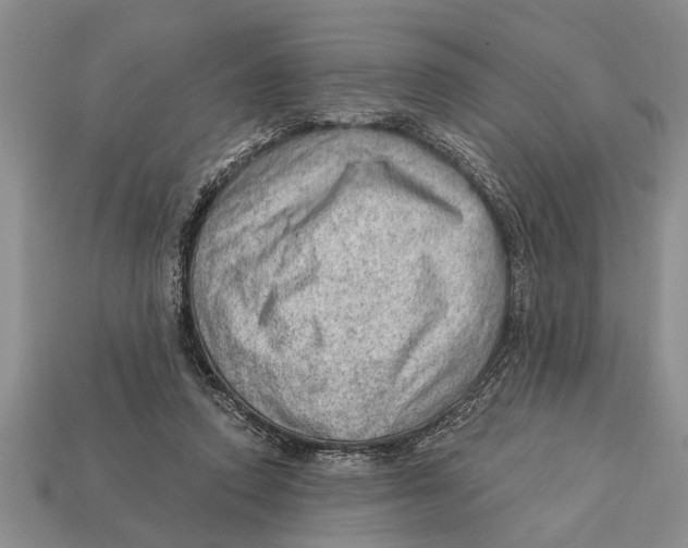 X0000112920354200909211057