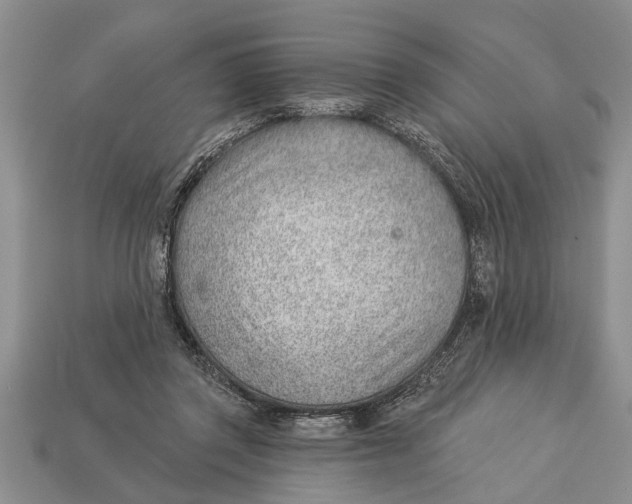 X0000112920357200909211057