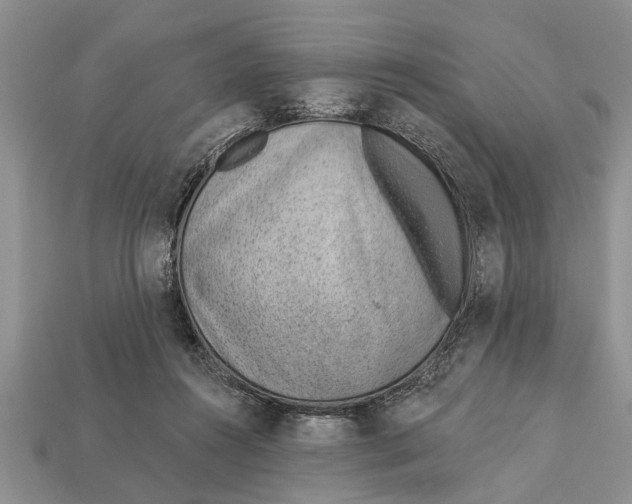 X0000112920360200909211058