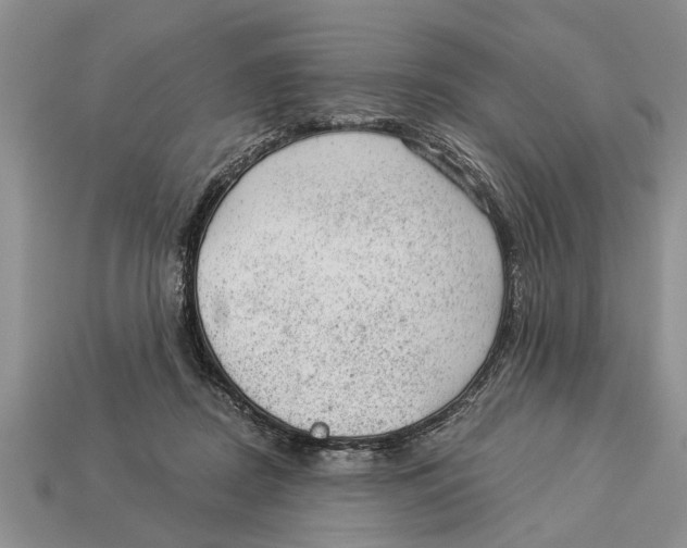 X0000112920362200909211058