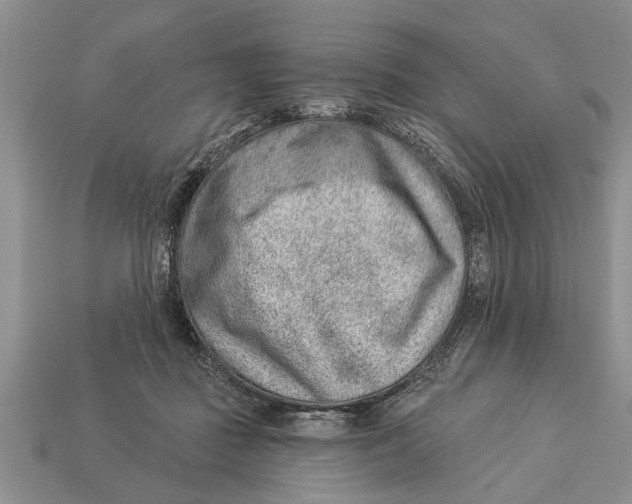 X0000112920363200909211058