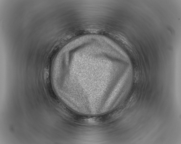 X0000112920365200909211058