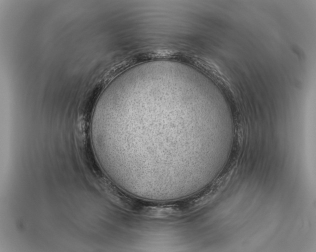 X0000112920366200909211058
