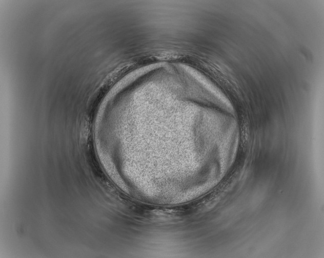 X0000112920367200909211058