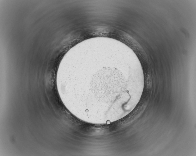 X0000112920370200909211058