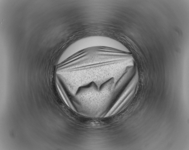 X0000112920372200909211058