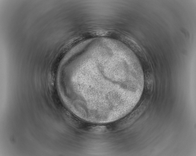 X0000112920374200909211058