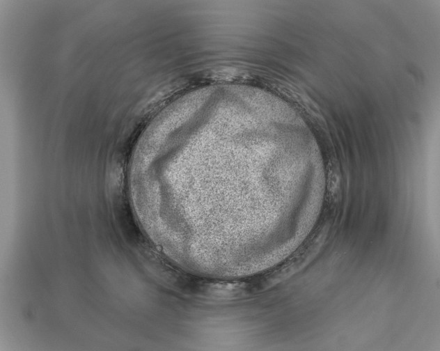 X0000112920375200909211058