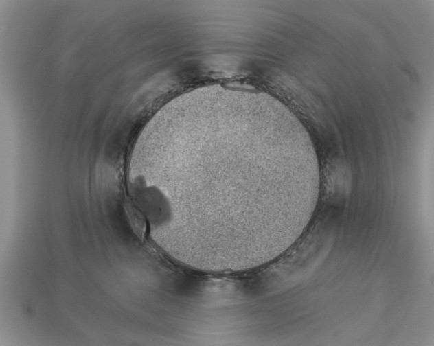 X0000112920376200909211058