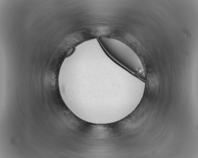 X0000112920380200909211058