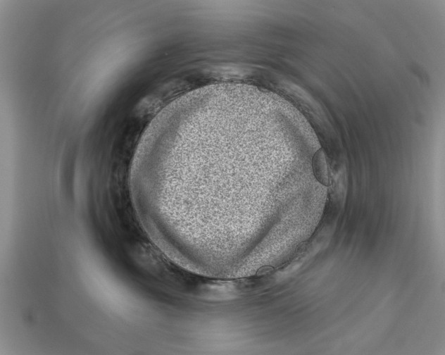 X0000112920381200909211058