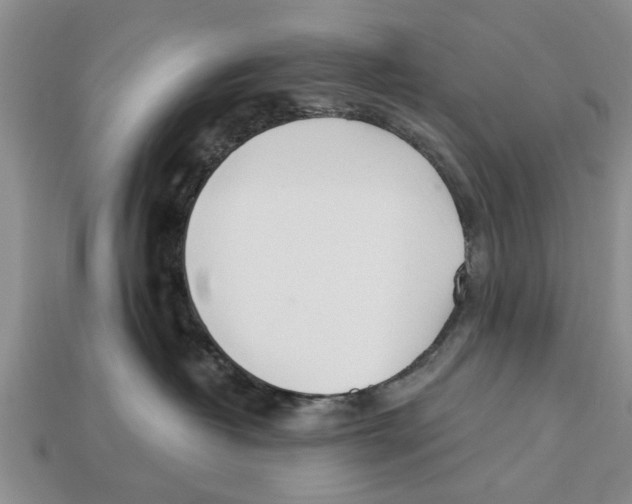 X0000112920382200909211058