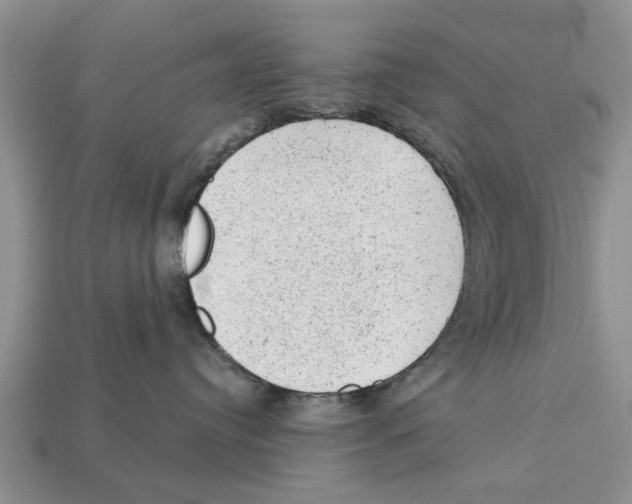 X0000112920384200909211058