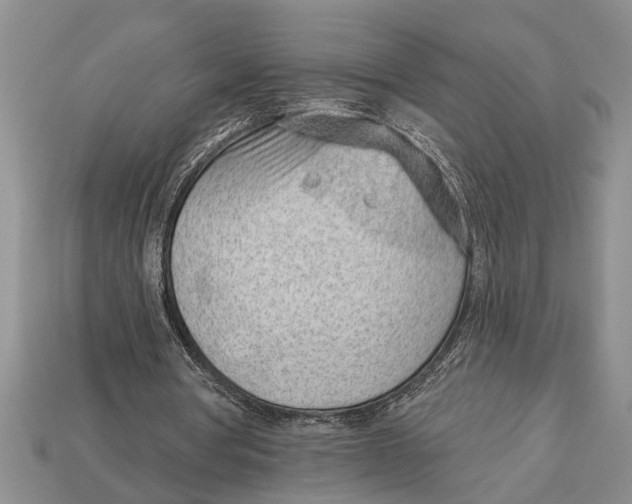 X0000112920386200909211057