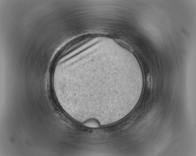 X0000112920388200909211057