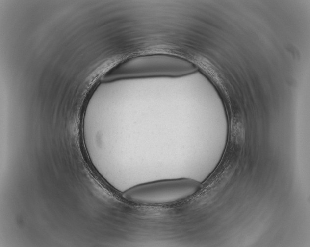 X0000112920389200909211057