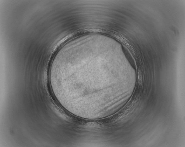 X0000112920390200909211057