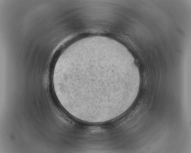 X0000112920392200909211057
