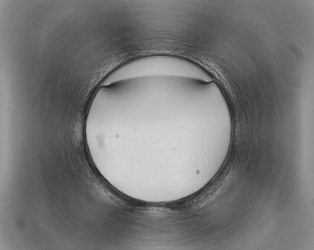 X0000112920393200909211057