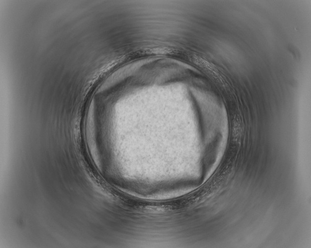 X0000112920394200909211057