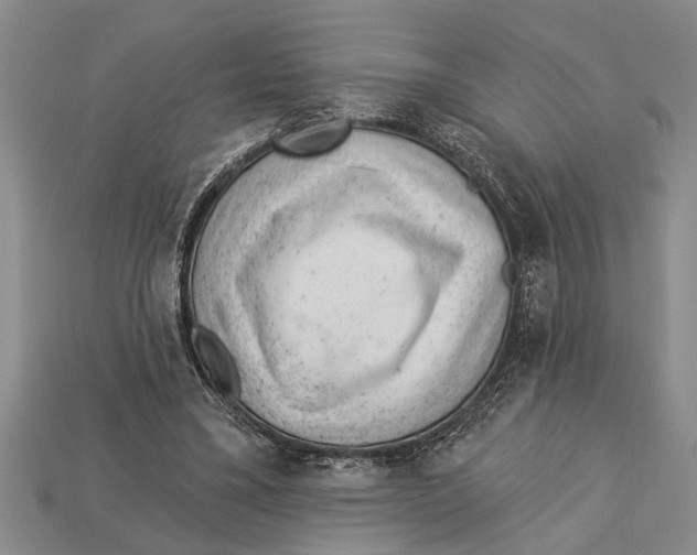 X0000112920395200909211057