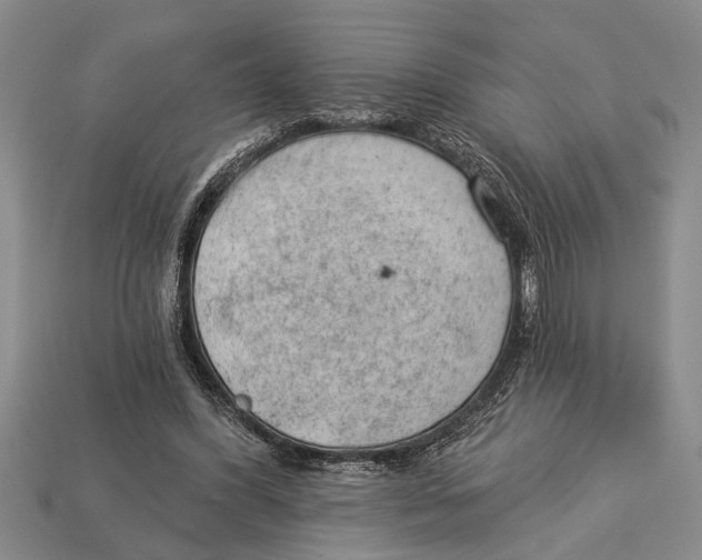 X0000112920396200909211057