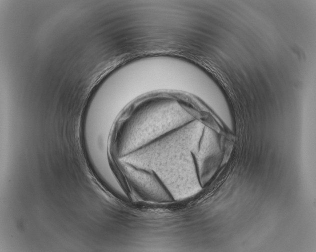 X0000112920397200909211057