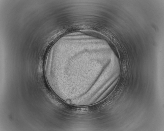 X0000112920398200909211057