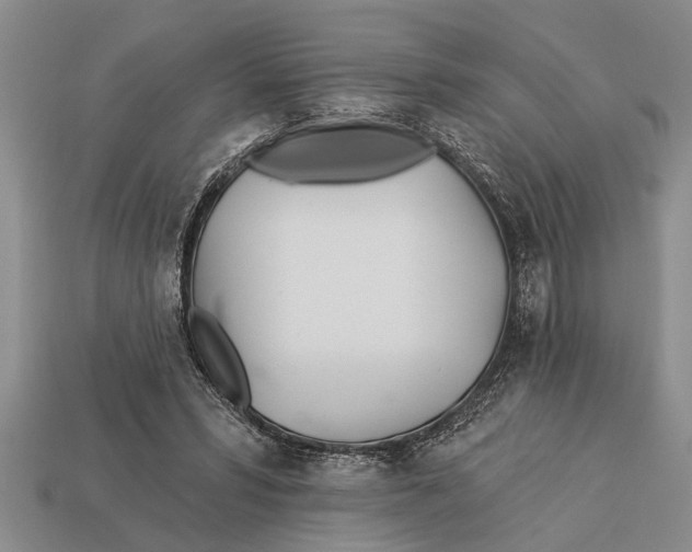X0000112920399200909211057