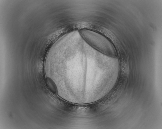 X0000112920401200909211057