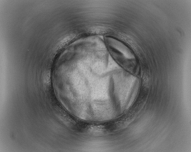 X0000112920403200909211057