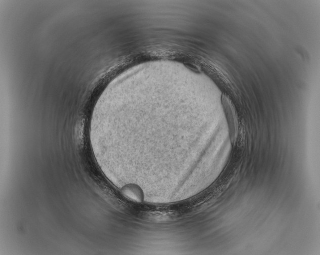 X0000112920404200909211057