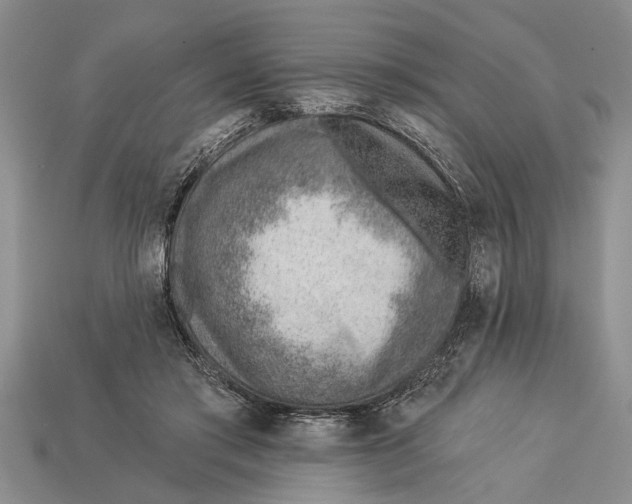 X0000112920405200909211057