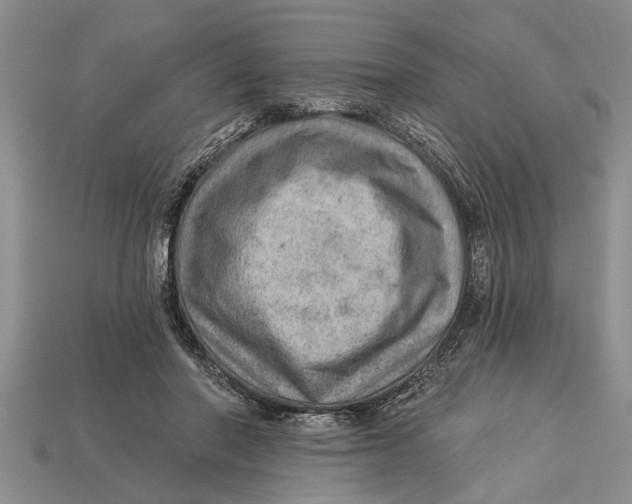 X0000112920406200909211057