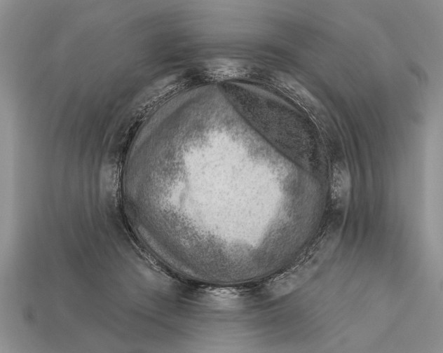 X0000112920409200909211057