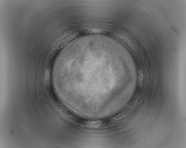X0000112920410200909211057